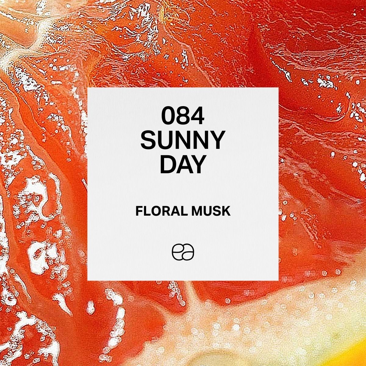 Sunny Day