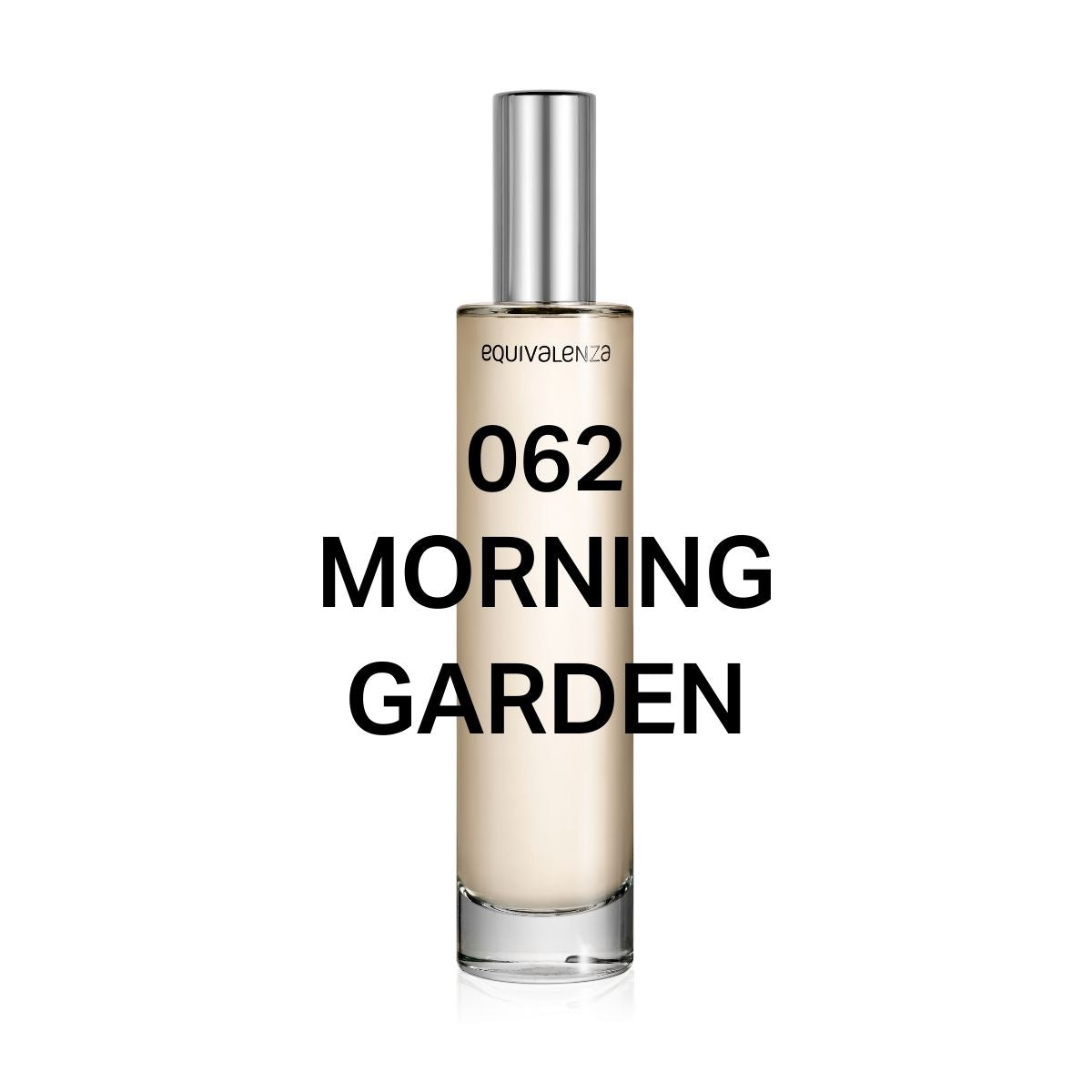 Morning Garden — 2