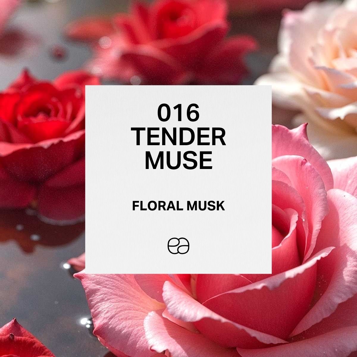 Tender Muse