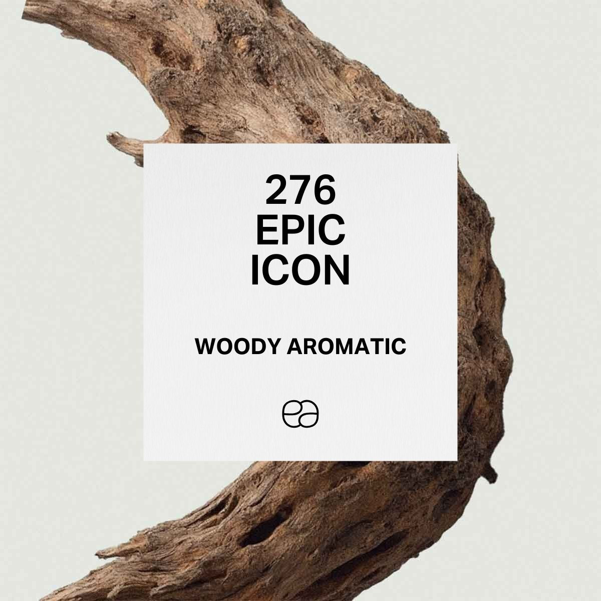Epic Icon